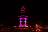 Pink Ribbon / Flagey
